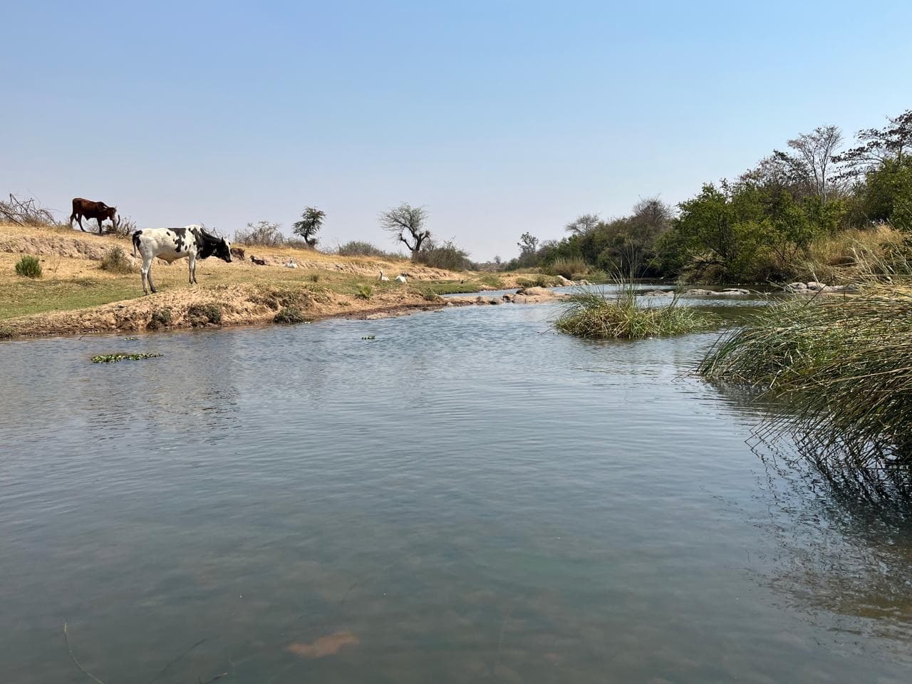 Vende-se magnífico fazenda 175.4 hectares na província da Huila -Chibia - Imagem 1