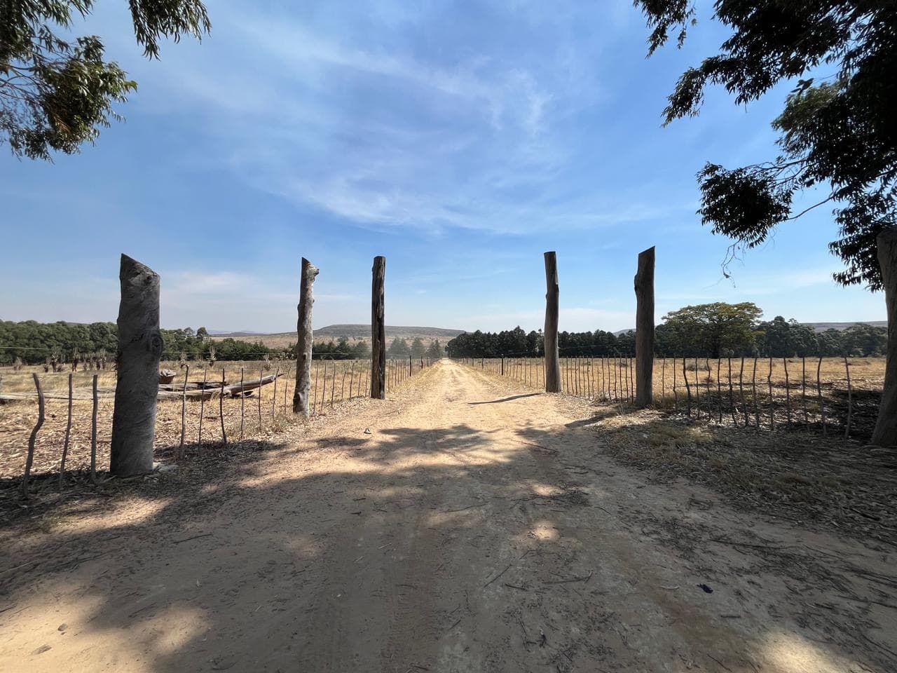 Vende-se magnífica fazenda de 60 hectares na província da Huila -Humpata. - Imagem 1