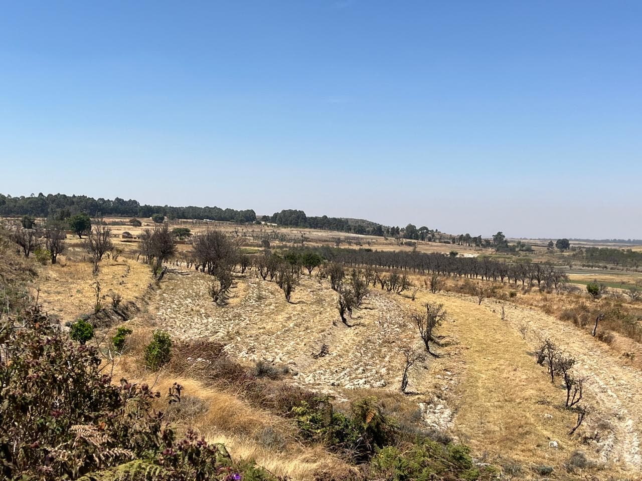 Vende-se magnífica fazenda de 61 hectares na província da Huila -Humpata - Imagem 1