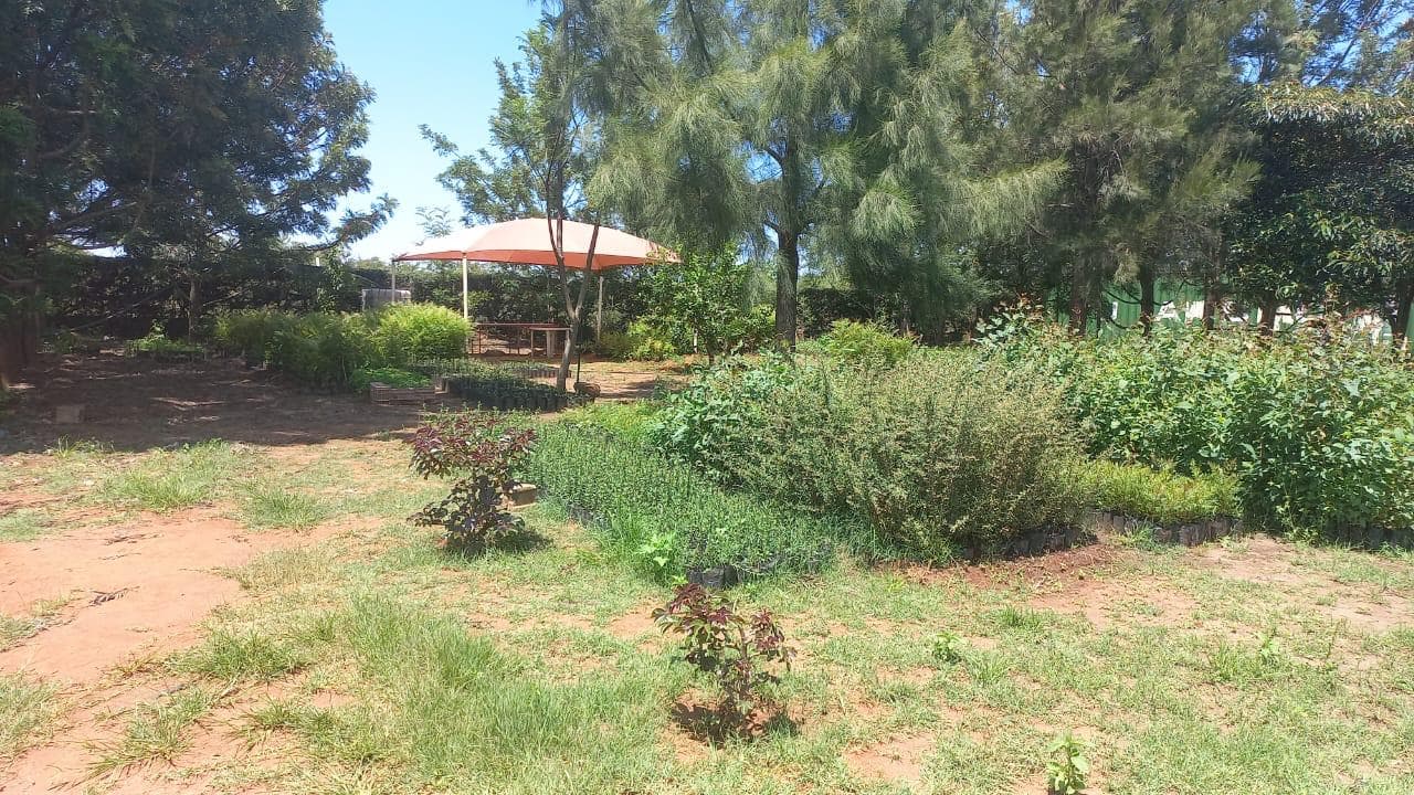 Vende-se magnífica fazenda de 6.5 hectares na província da Huila -Humpata. - Imagem 1