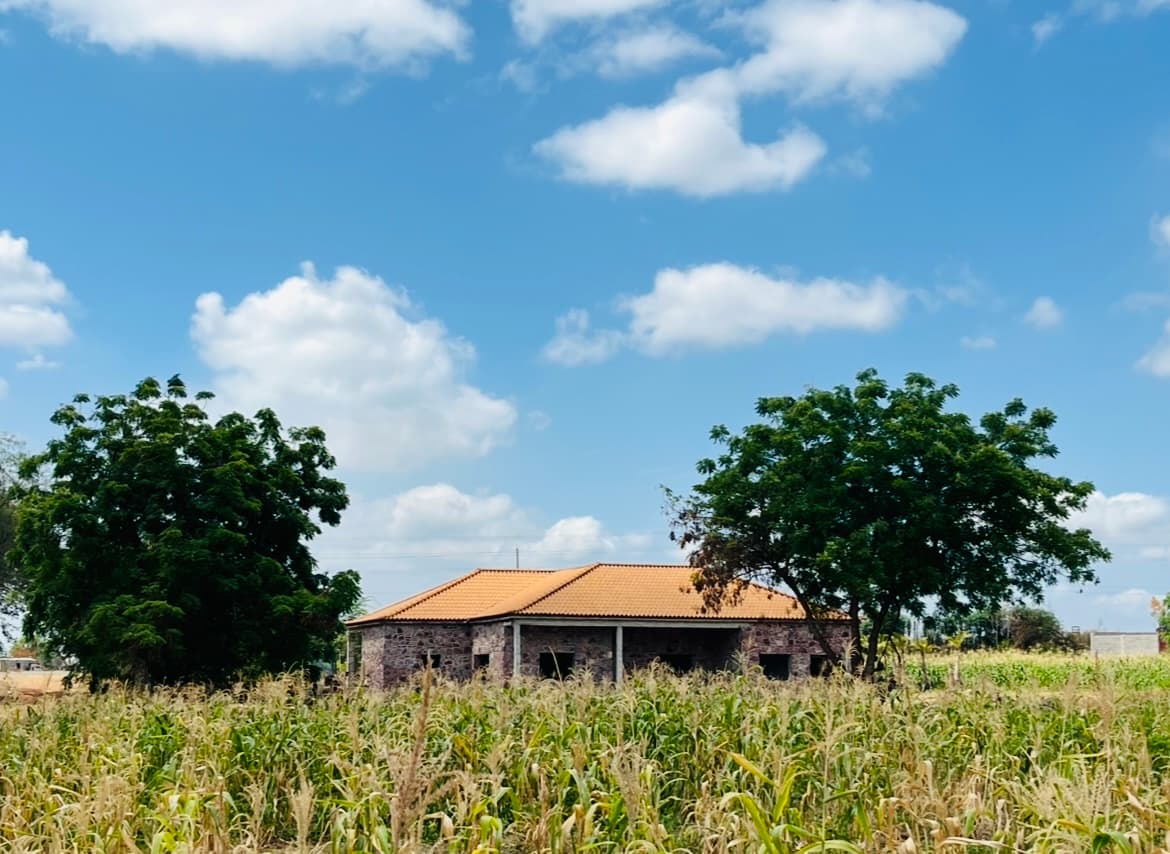 VENDE-SE FAZENDA DE 12.5 HECTARES EM CATETE KM 46 ICOLO E BENGO - Imagem 1